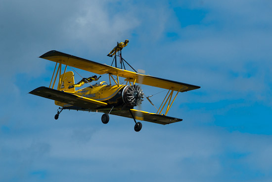 Katter som klättrar på flygplanet Katter som klättrar på flygplanet